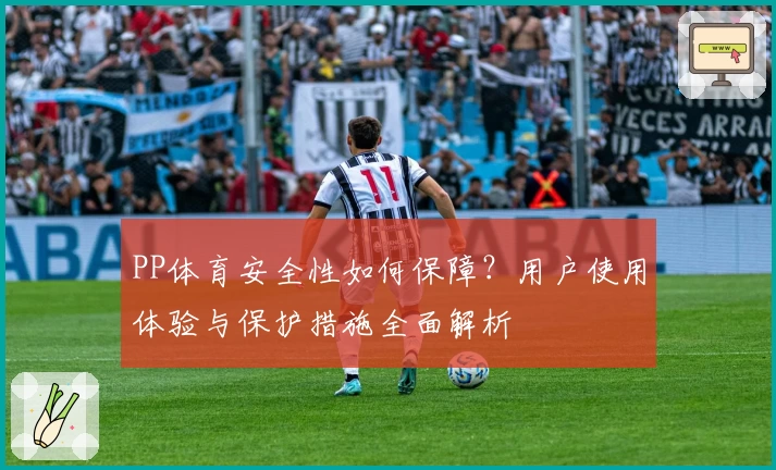 PP体育安全性如何保障？用户使用体验与保护措施全面解析