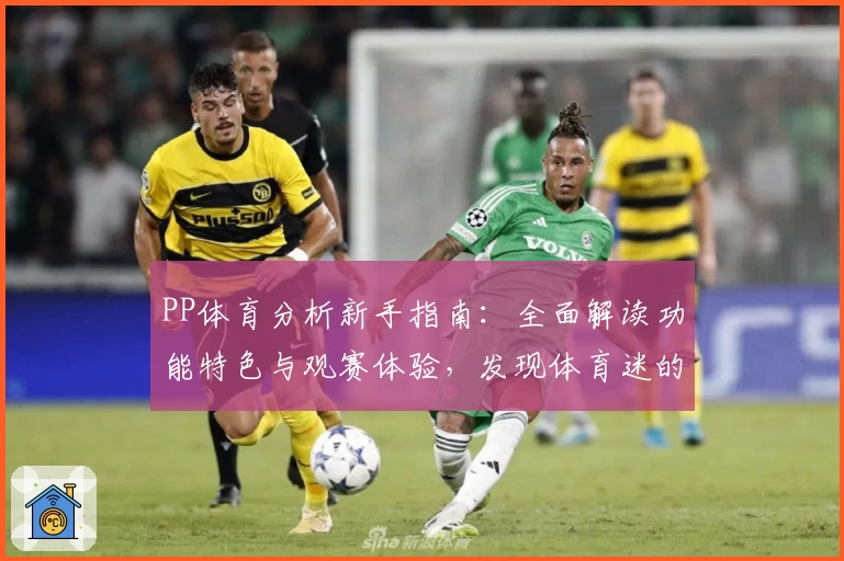PP体育分析新手指南：全面解读功能特色与观赛体验，发现体育迷的专属乐趣