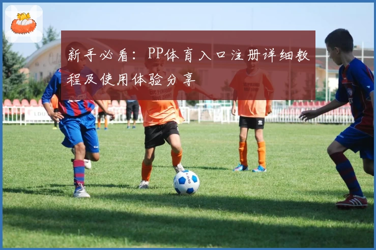 新手必看：PP体育入口注册详细教程及使用体验分享