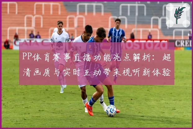PP体育赛事直播功能亮点解析：超清画质与实时互动带来视听新体验