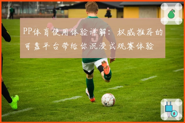 PP体育使用体验详解：权威推荐的可靠平台带给你沉浸式观赛体验