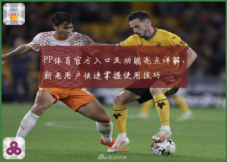 PP体育官方入口及功能亮点详解，新老用户快速掌握使用技巧